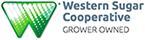 Corporate Environmental Manager